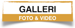 grafik galleri